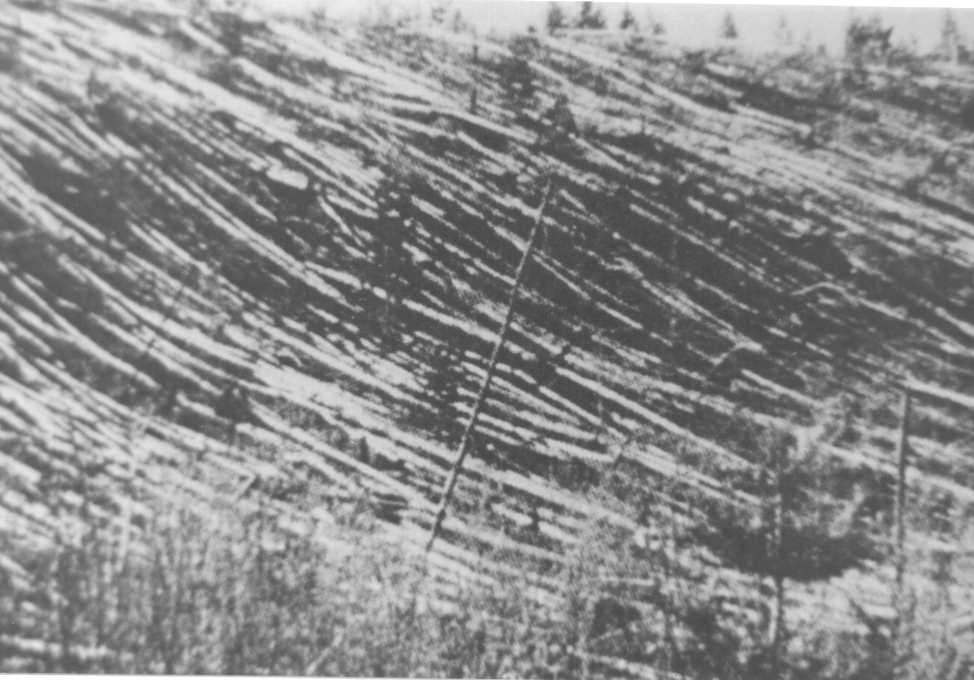 Fot. #N2 (M27 z [1e])