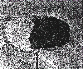 Fot. #J2 (C4d z [5/4])