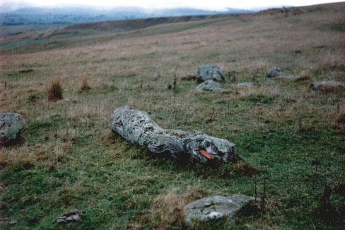 Fot. #G4 (C9a z [5/4])