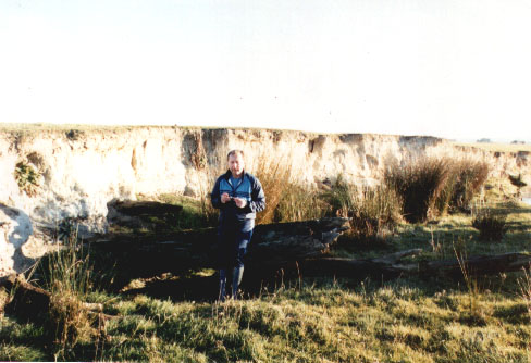 Rys. #4: Drzewo zmiecione eksplozj� Tapanaui