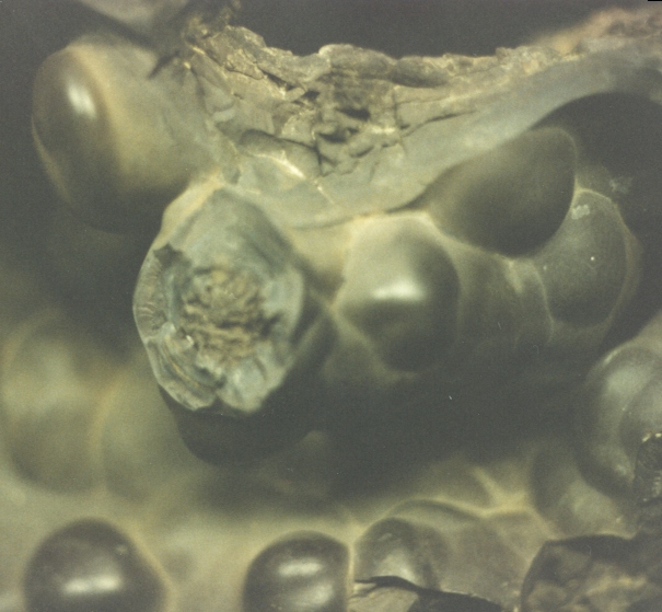 Rys. #6: Fragment skrzynki bieg�w?